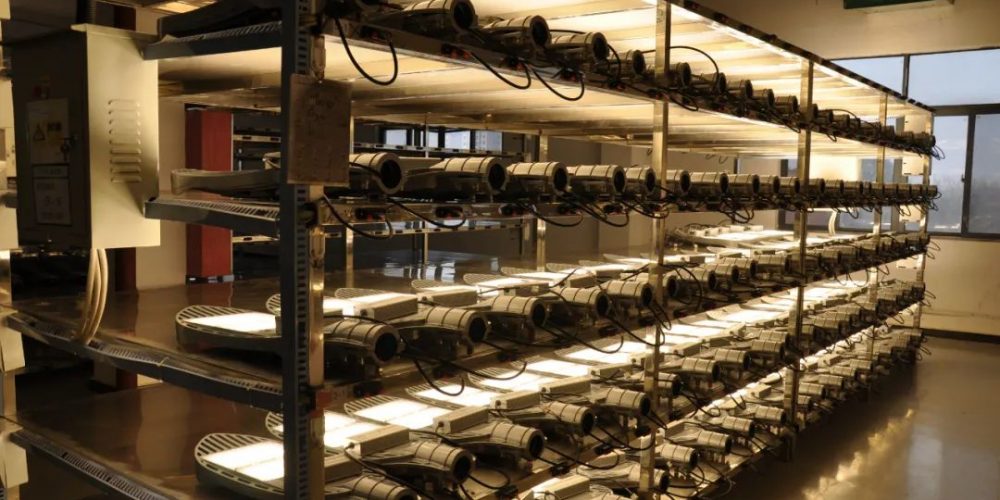 ffcc-79f4cdf565b1032f38e1c3f7c3b3c309